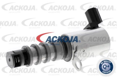 ACKOJA A260229