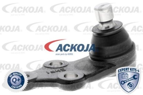 ACKOJA A521228