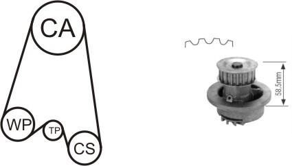 Насос води + комплект зубчатого ремня AIRTEX WPK116401