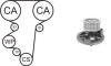 Насос води + комплект зубчатого ремня WPK169601 AIRTEX