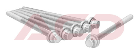 Комплект болтів з головкою системи TORX з чорного металу AJUSA 81048800 (фото 1)