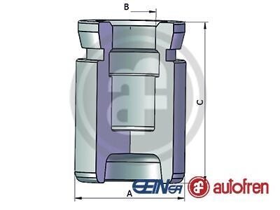 Поршень гальмівного супорта SEINSA AUTOFREN D025333 (фото 1)