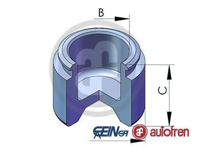 Поршень гальмівного супорта SEINSA AUTOFREN D025345