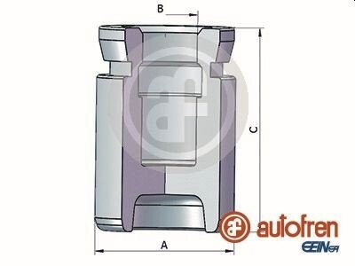 Поршень гальмівного супорта SEINSA AUTOFREN D025352