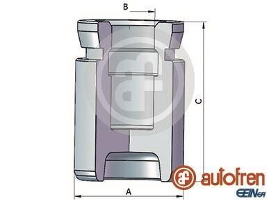 Поршень гальмівного супорта задній SEINSA AUTOFREN D025517