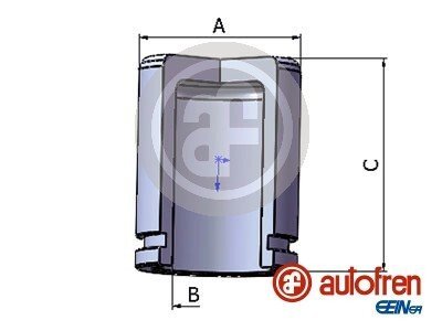 Поршень циліндра суппорта SEINSA AUTOFREN D025550