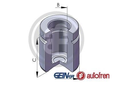 Поршень гальмівного супорта SEINSA AUTOFREN D025551