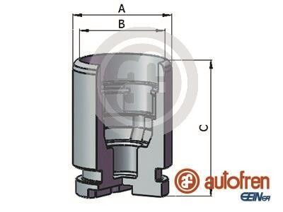 Поршень SEINSA AUTOFREN D025637