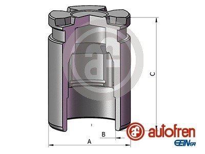 Tіoczek SEINSA AUTOFREN D025780 (фото 1)