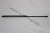 Ам-тор багажника VW Golf II 83-91 AUTOMEGA 100041510 (фото 1)