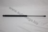 Амортизатор задньої двері VW Golf IV, Bora, Passa AUTOMEGA 100041910 (фото 1)
