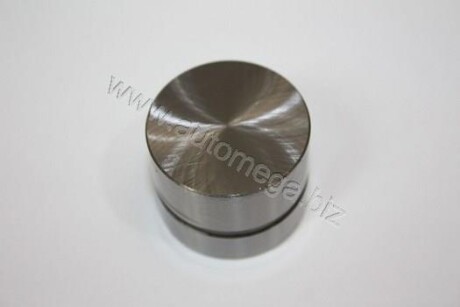 Автозапчасть AUTOMEGA 130106010