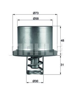 Термостат BEHR THD289