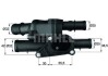 Термостат BEHR TM2105 (фото 1)