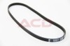 MULTI V-BELT BGA 4PK875 (фото 2)