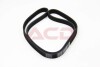 MULTI V-BELT BGA 5PK1135 (фото 2)