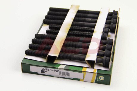 Комплект болтів з головкою системи TORX з чорного металу BGA BK4302