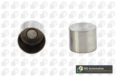 POPYCHACZE ZAWOROWE BGA HL2315