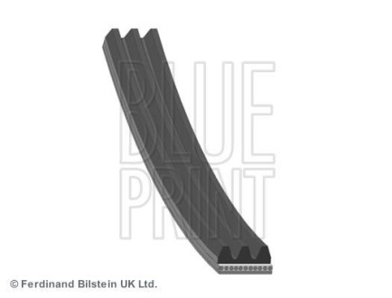 Поликлиновой ремень BLUE PRINT AD03R560