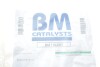 Садовый фильтр BM CATALYSTS BM11028H (фото 2)