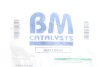 Садовый фильтр BM CATALYSTS BM11045H (фото 2)