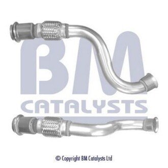 BM CATALYSTS BM50442