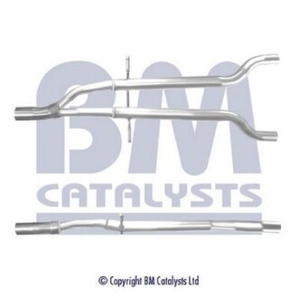 BM CATALYSTS BM50499