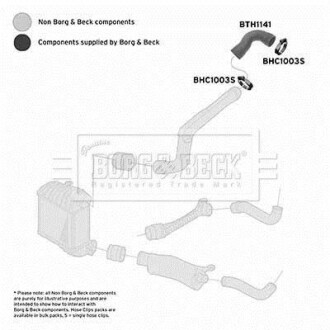 Шлангопровод BORG & BECK BTH1141