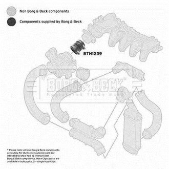 Шлангопровод BORG & BECK BTH1239