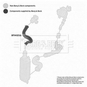 Шлангопровод BORG & BECK BTH1258