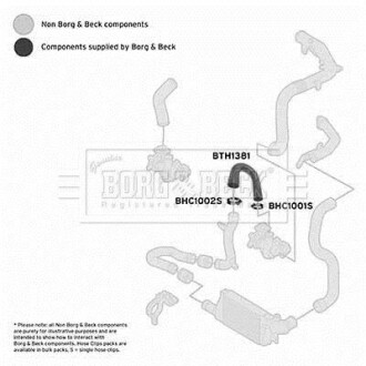 Шлангопровод BORG & BECK BTH1381 (фото 1)