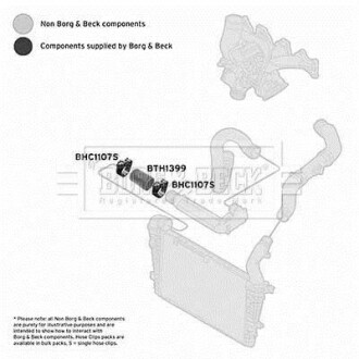 Шлангопровод BORG & BECK BTH1399