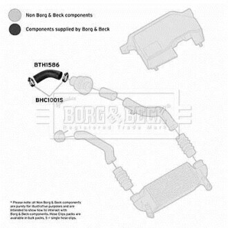 Шлангопровод BORG & BECK BTH1586