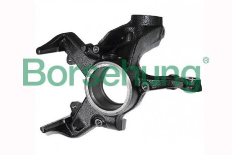 Wheel bearing housing. left (OE) Borsehung B17941