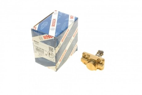 Плунжерная пара BOSCH F01M100869