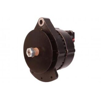 Alternator CARGO 110487