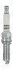 CHAMPION 8022T10 (фото 1)