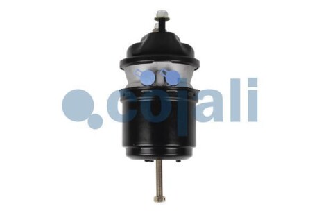 Автозапчасть COJALI 2251537