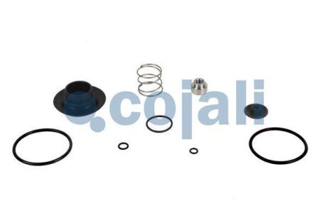 Ремкомплект COJALI 6012043