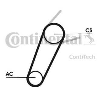 Belt Kit CONTINENTAL CTAM Contitech 5PK711ELASTT1