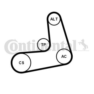 Комплект ГРМ CONTINENTAL Contitech 6PK1005K2 (фото 1)