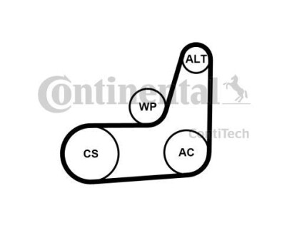 Ременный комплект Contitech 6PK1019ELASTT2 (фото 1)