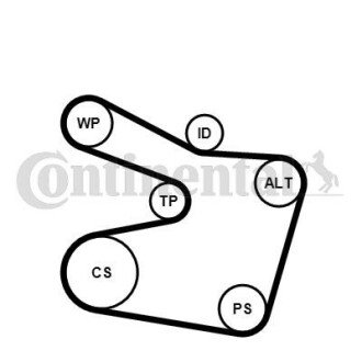 ZESTAW PASKA MICRO-V+POMPA. SZT Contitech 6PK1538WP2 (фото 1)