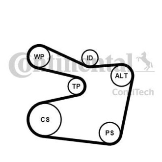 Contitech 6PK1555K2