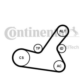 Поликлиновой ременный комплект Contitech 6PK1564K2