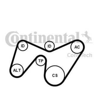 Поликлиновой ременный комплект Contitech 6PK1642K2 (фото 1)