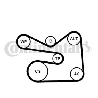 ZESTAW PASKA PK.+ POMPA WODY /CONTI/ Contitech 6PK1733WP2