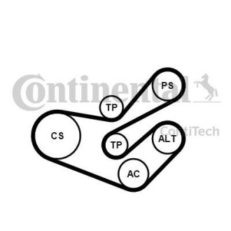 Поликлиновой ременный комплект Contitech 6PK1750K3