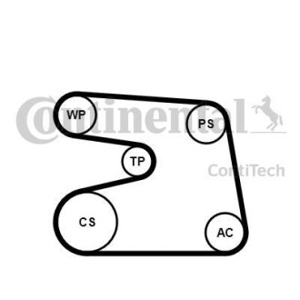 Contitech 6PK1873K4