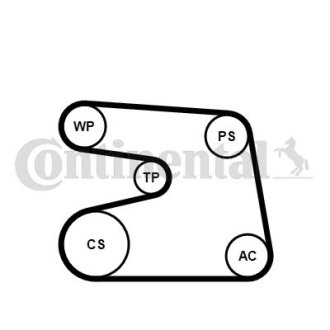 Water Pump / V-Ribbed Belt Kit CONTINENTAL CTAM Contitech 6PK1873WP2